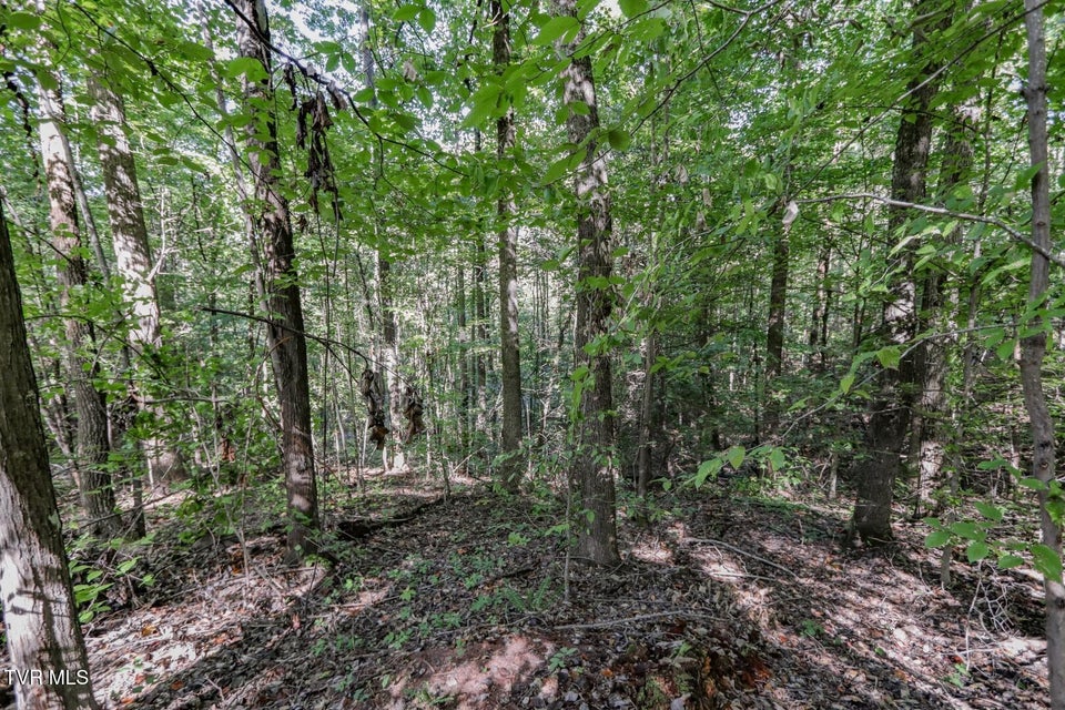 Photo #14: 1272 Applewood Dr 
