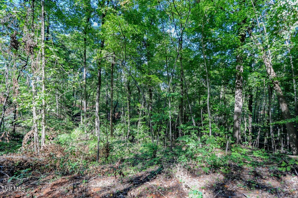 Photo #15: 1272 Applewood Dr 