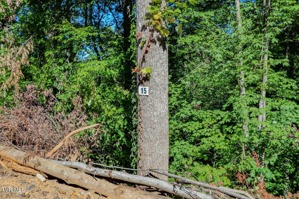 Photo #16: 1272 Applewood Dr 