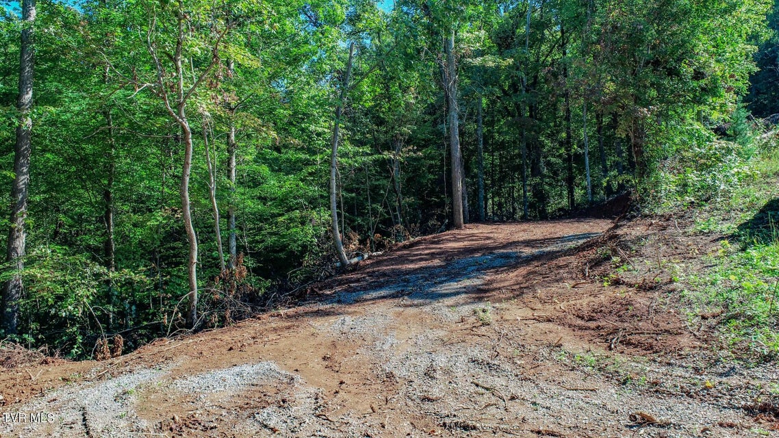 Photo #8: 1282 Applewood Rd 
