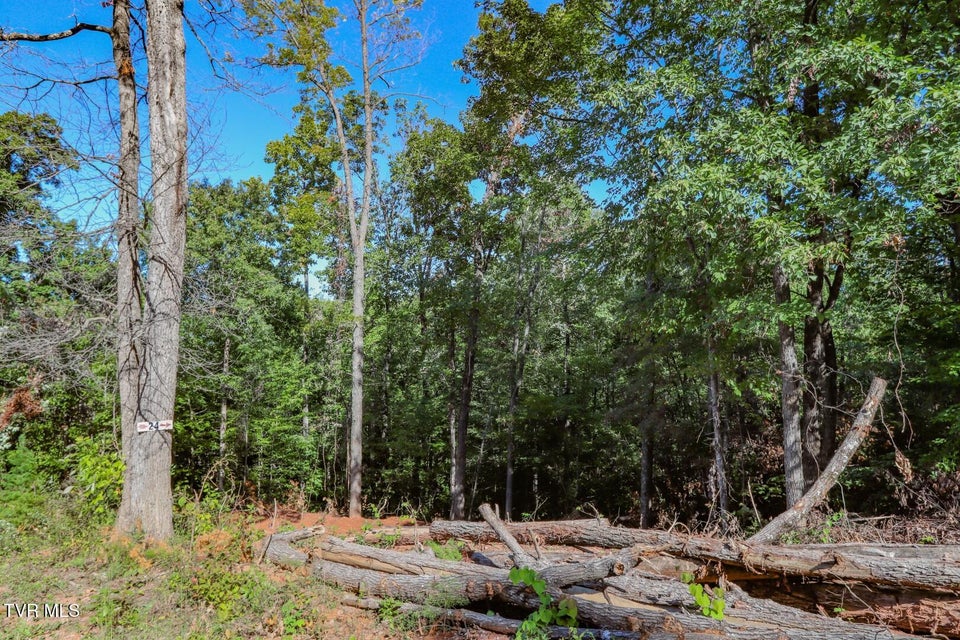 Photo #14: 1282 Applewood Rd 