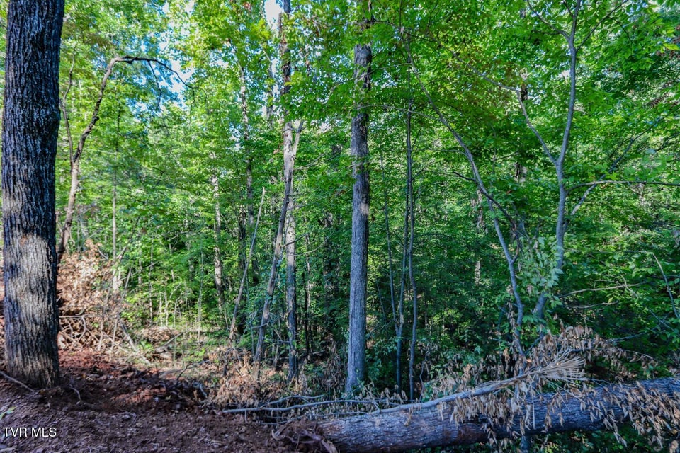 Photo #15: 1282 Applewood Rd 