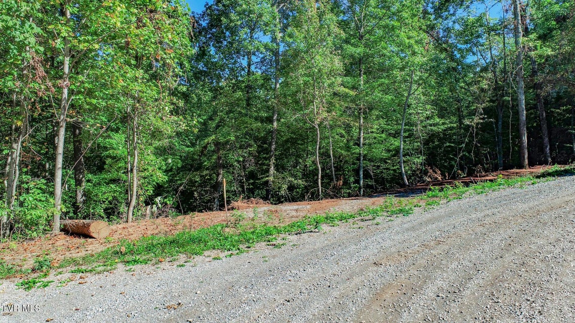 Photo #16: 1282 Applewood Rd 
