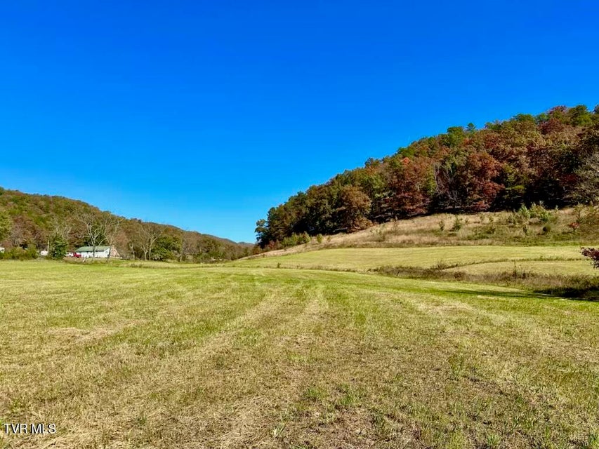 Photo #3: Tbd New Life Road