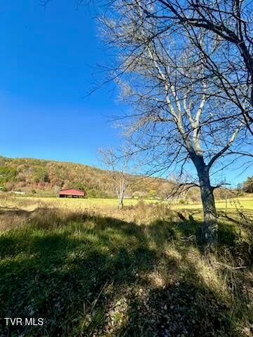 Photo #11: Tbd New Life Road