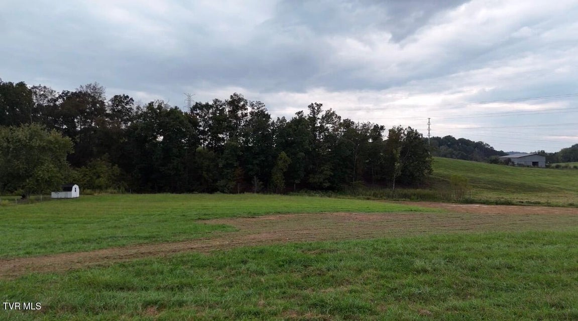 Photo #5: 00 Andrew Johnson Highway