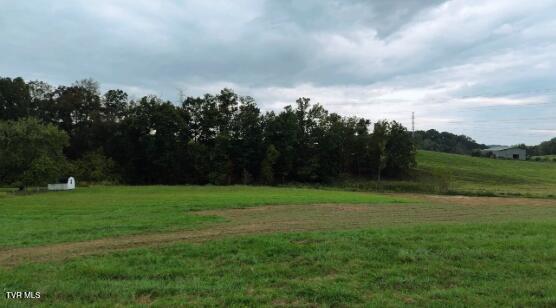 Photo #9: 00 Andrew Johnson Highway