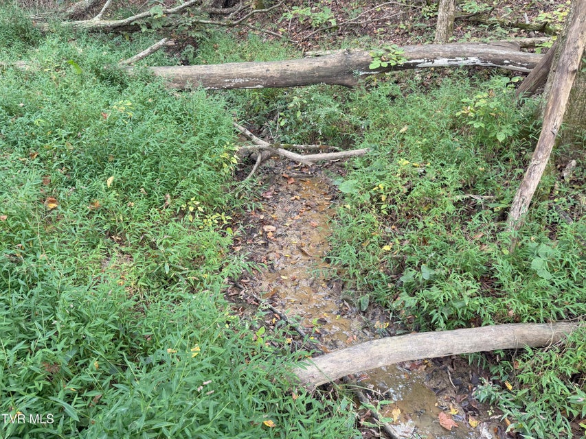 Photo #32: 37.33 Ac Charlie Doty Road