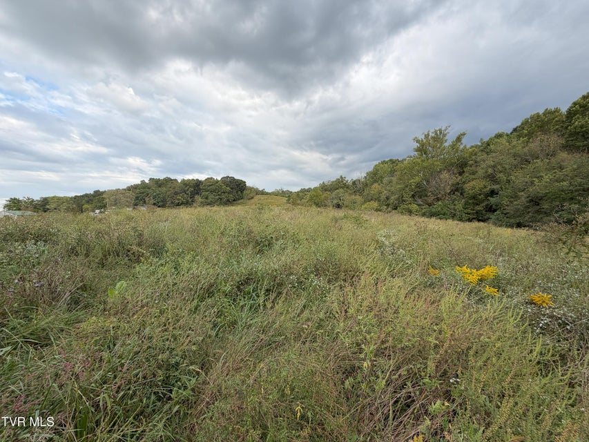 Photo #24: 37.33 Ac Charlie Doty Road