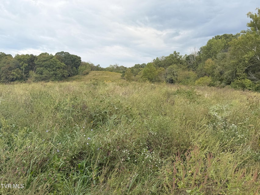 Photo #25: 37.33 Ac Charlie Doty Road