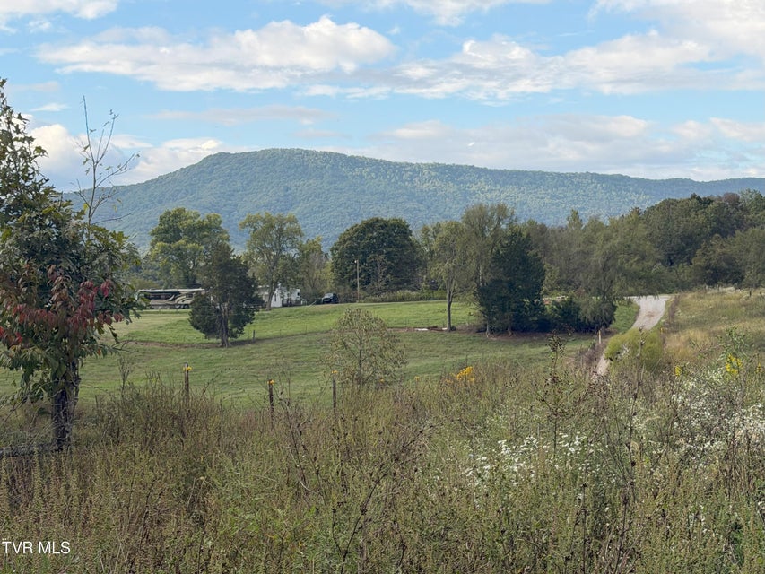 Photo #26: 37.33 Ac Charlie Doty Road