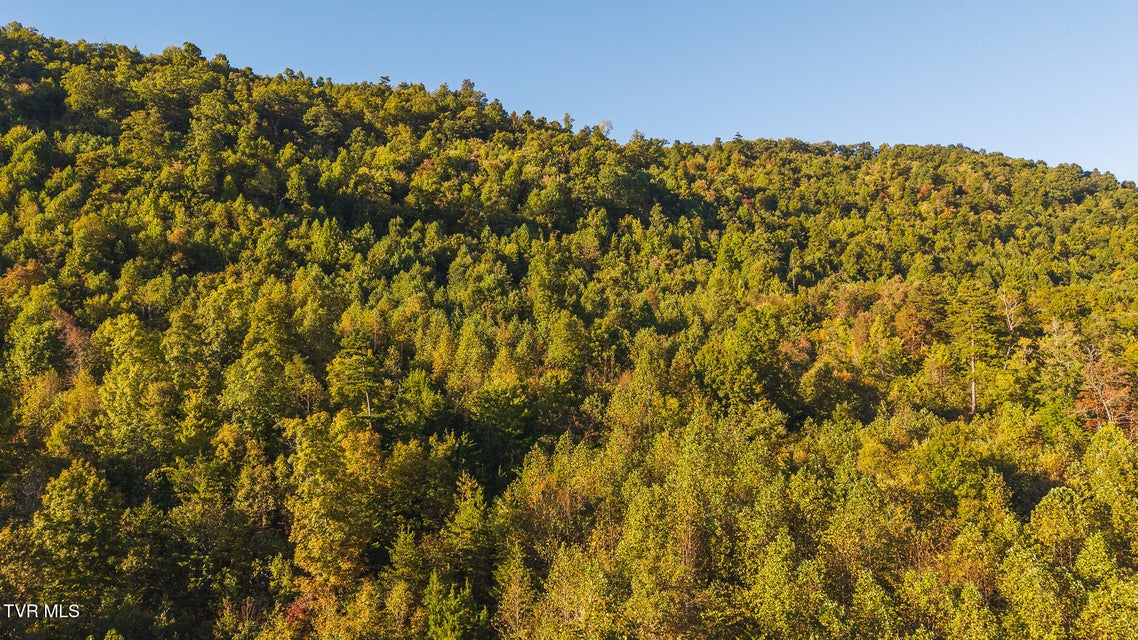 Photo #5: 97 Acres Black Valley Road