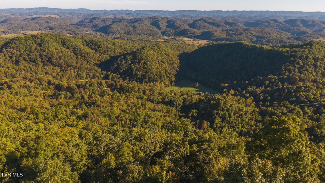 Photo #6: 97 Acres Black Valley Road