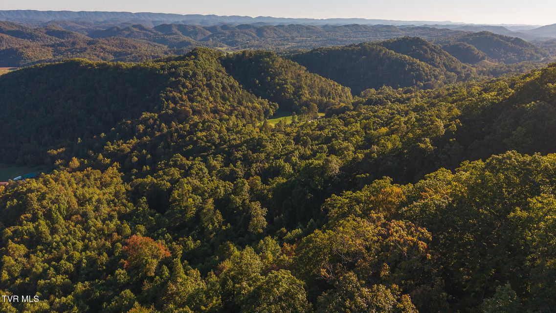 Photo #8: 97 Acres Black Valley Road