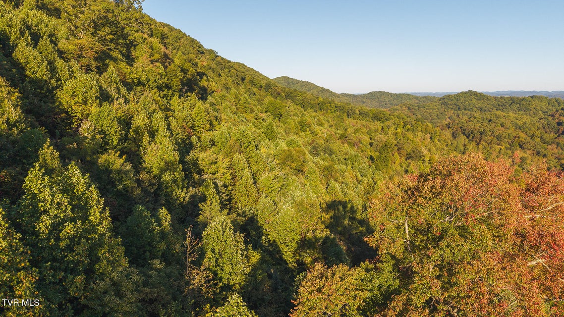 Photo #9: 97 Acres Black Valley Road