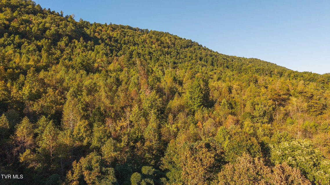 Photo #10: 97 Acres Black Valley Road