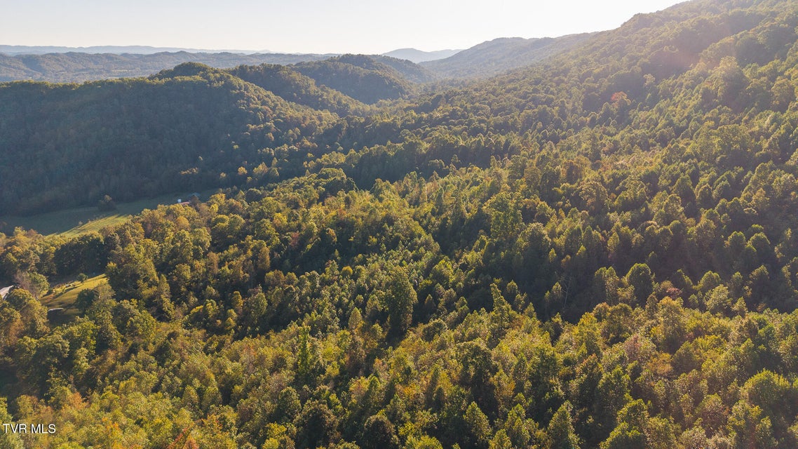 Photo #12: 97 Acres Black Valley Road