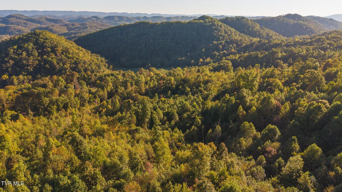 Photo #13: 97 Acres Black Valley Road