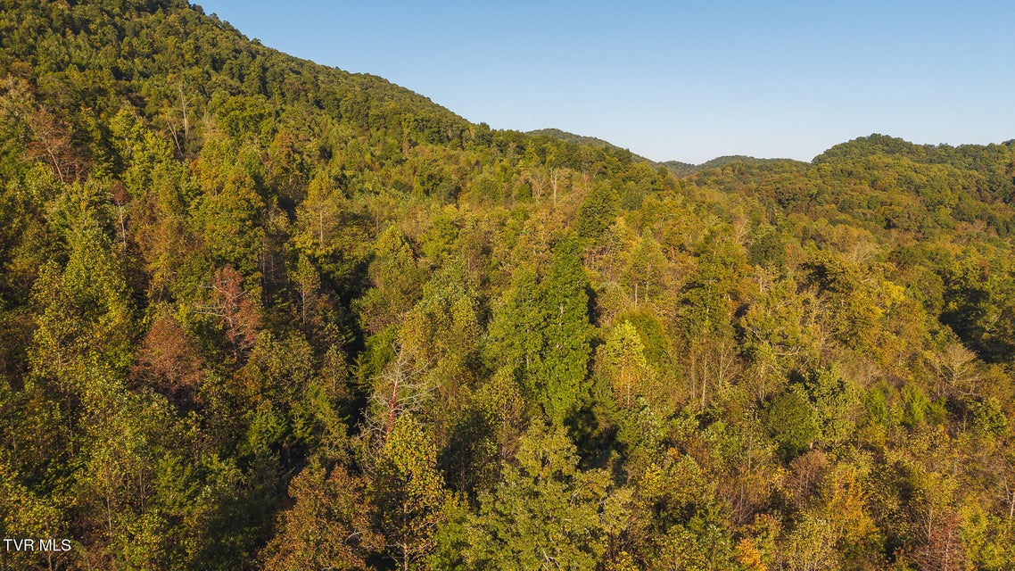 Photo #15: 97 Acres Black Valley Road