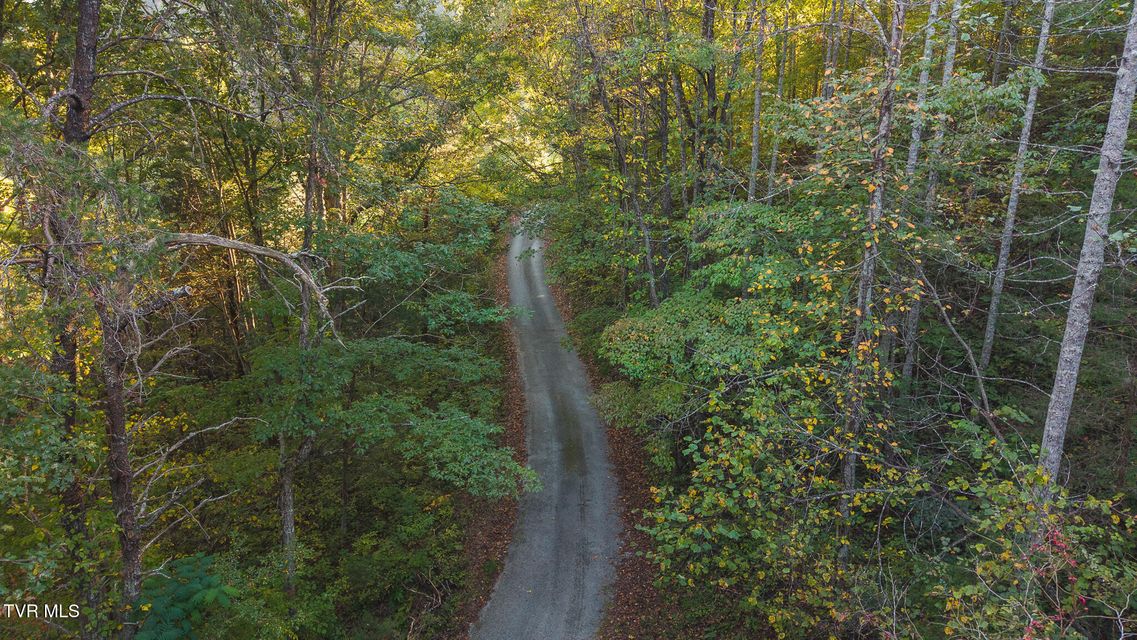Photo #18: 97 Acres Black Valley Road