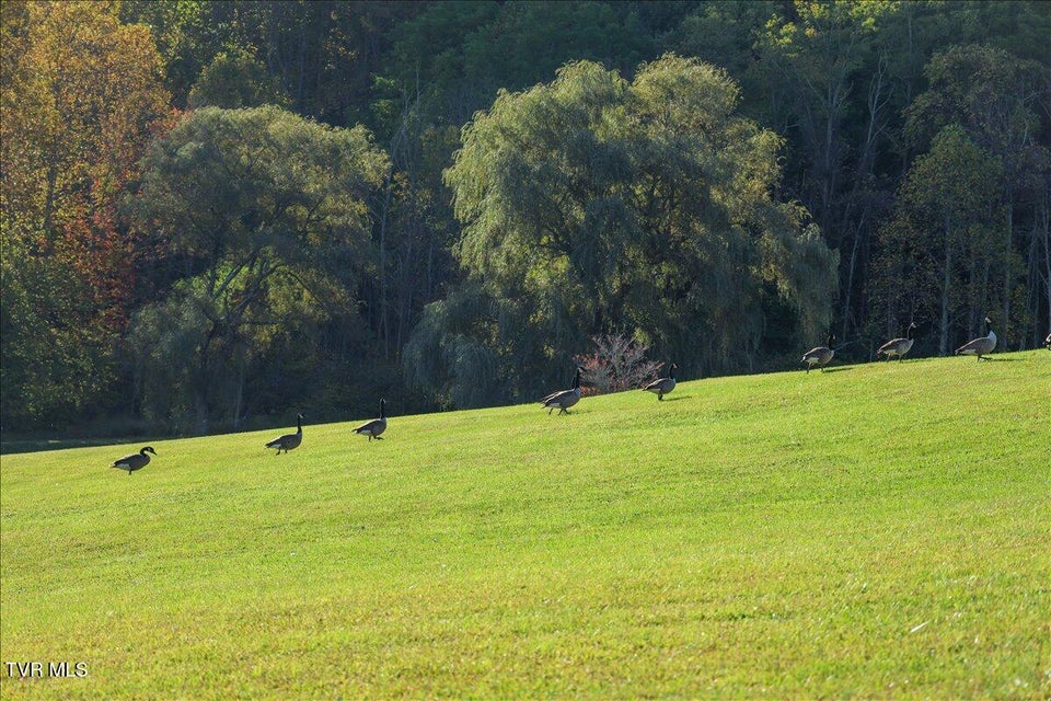 Photo #12: Tbd Eagle Ridge Road