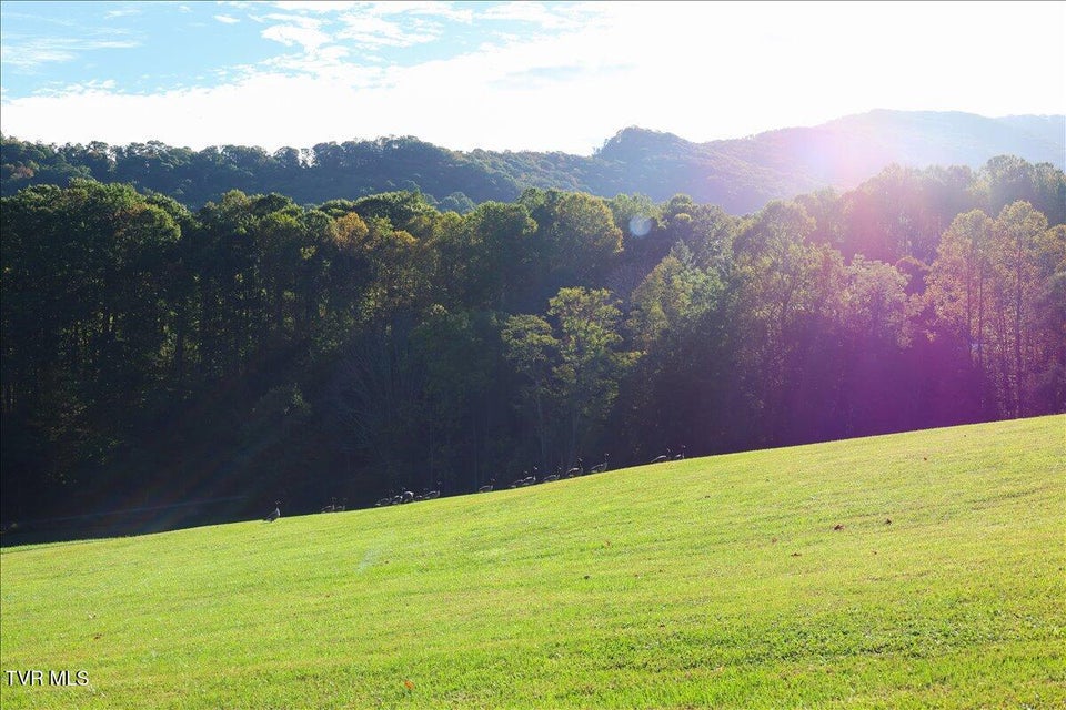 Photo #13: Tbd Eagle Ridge Road