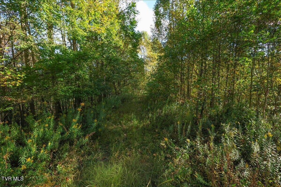 Photo #10: Tbd Eagle Ridge Road