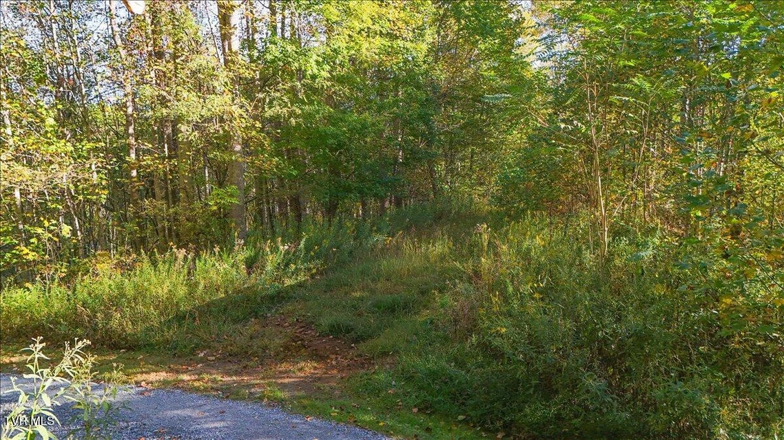 Photo #8: Tbd Eagle Ridge Road