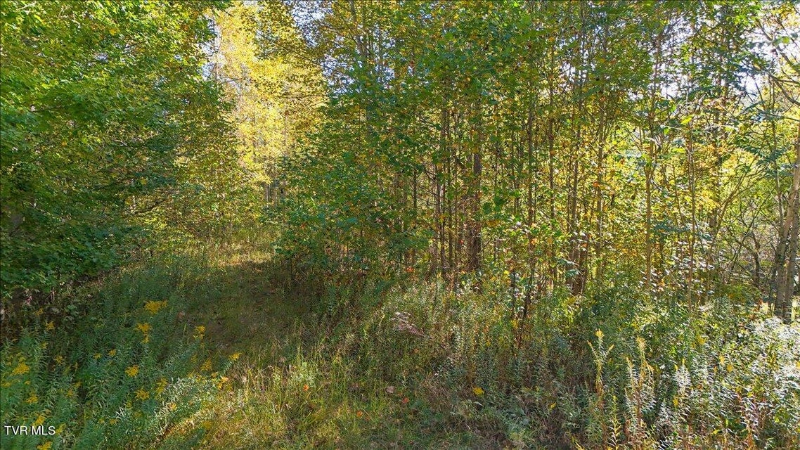 Photo #9: Tbd Eagle Ridge Road