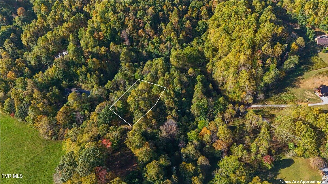 Photo #21: Tbd Eagle Ridge Road