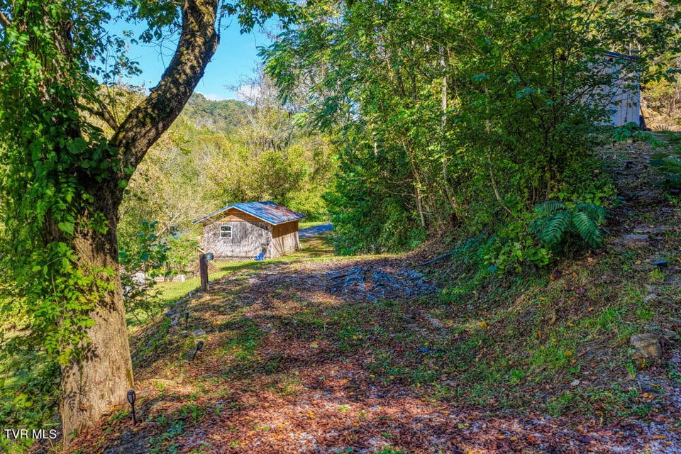 Photo #9: 3652 Horton Ford Road