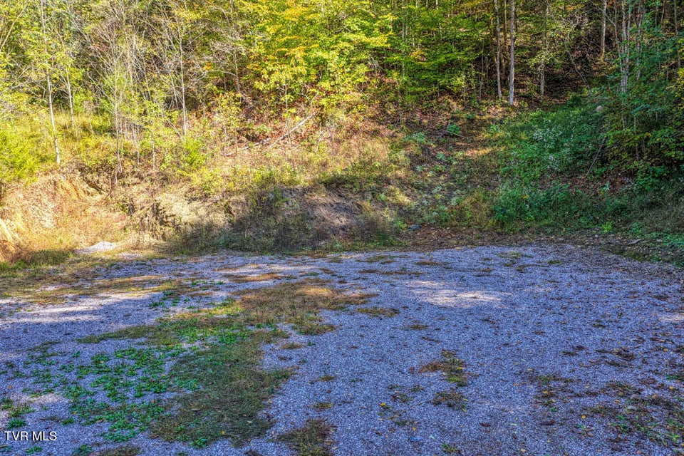 Photo #12: 3652 Horton Ford Road