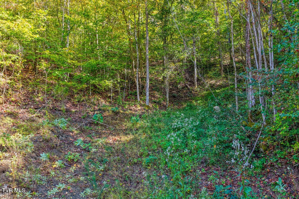 Photo #13: 3652 Horton Ford Road