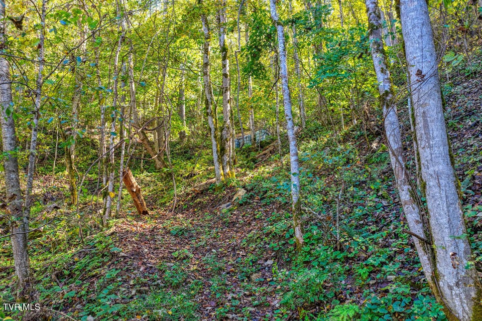 Photo #16: 3652 Horton Ford Road