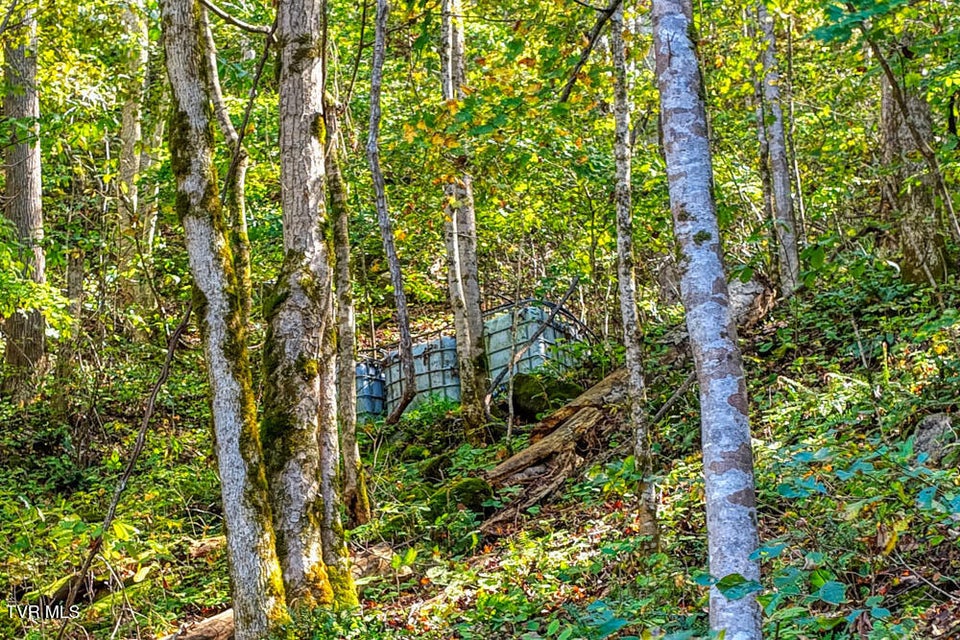 Photo #17: 3652 Horton Ford Road