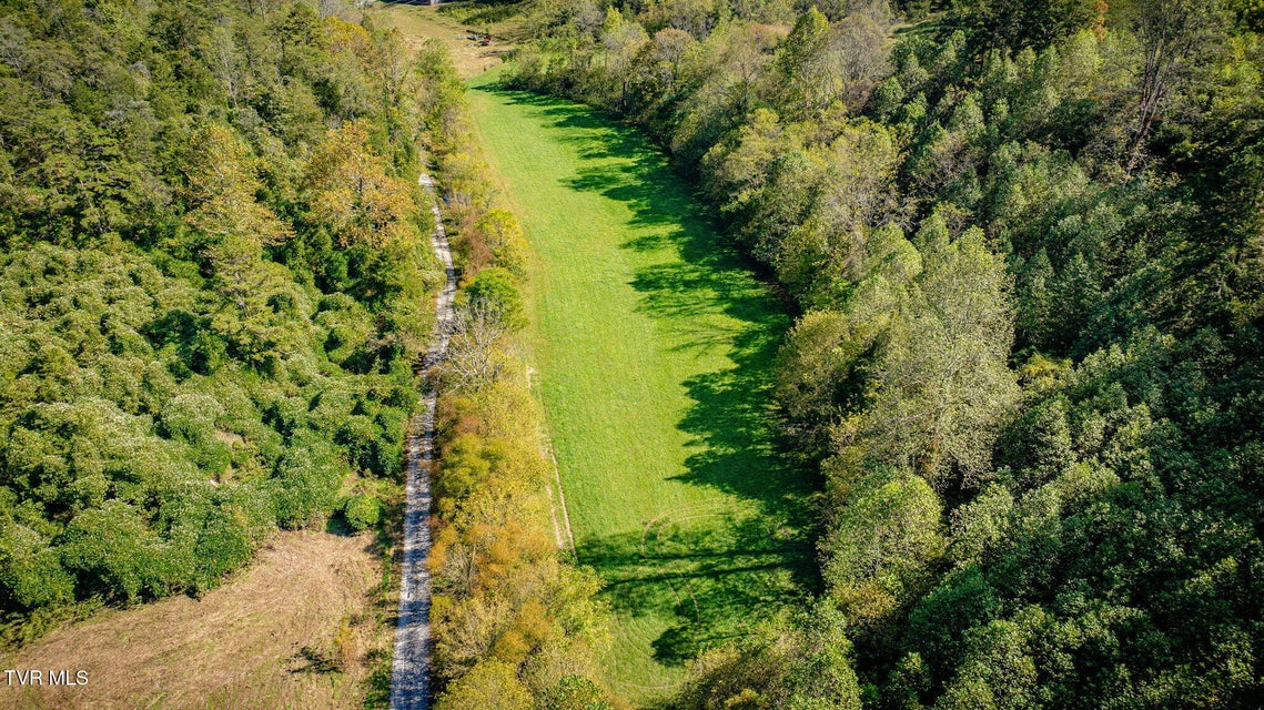 Photo #6: 413 Willow Branch Road