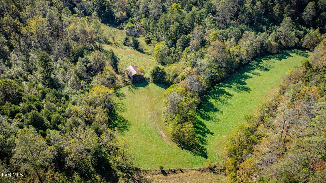 Photo #8: 413 Willow Branch Road