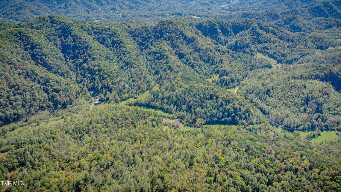 Photo #9: 413 Willow Branch Road