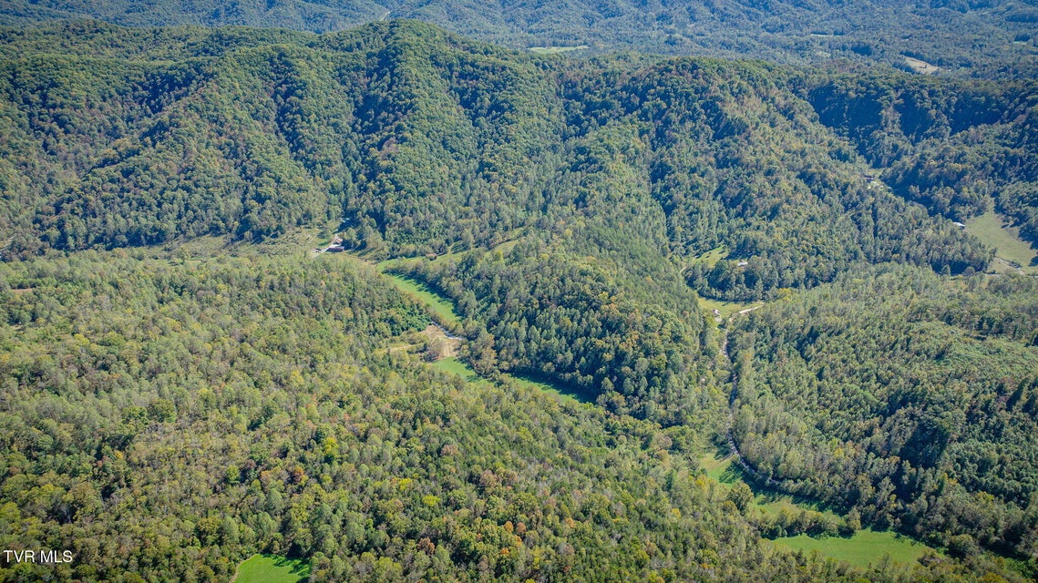 Photo #11: 413 Willow Branch Road