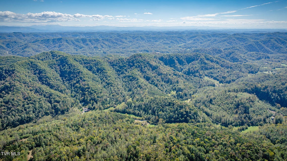 Photo #12: 413 Willow Branch Road