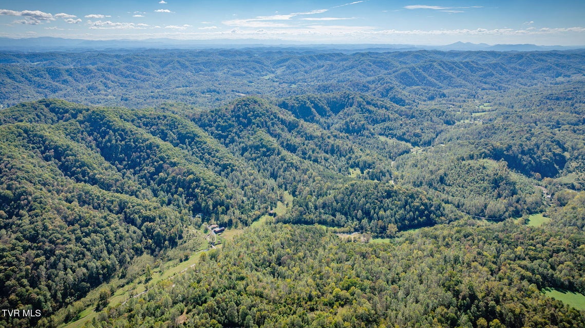 Photo #13: 413 Willow Branch Road