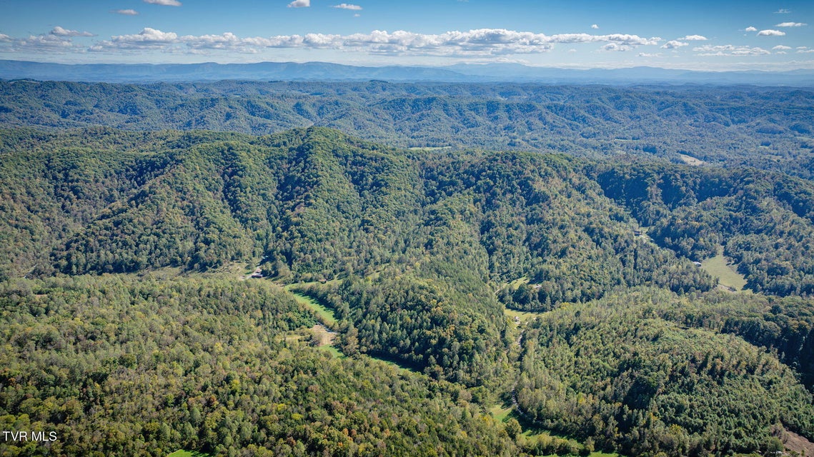 Photo #14: 413 Willow Branch Road