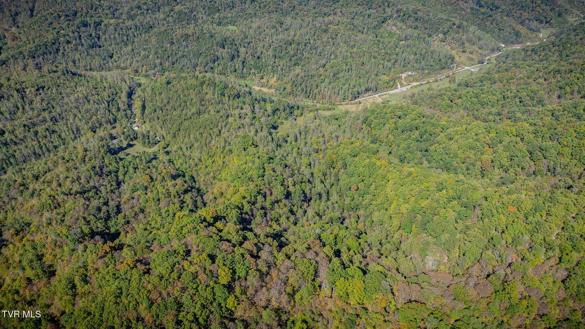 Photo #15: 413 Willow Branch Road