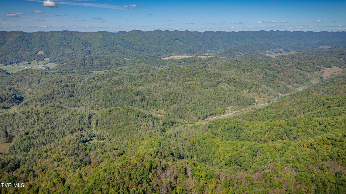 Photo #16: 413 Willow Branch Road