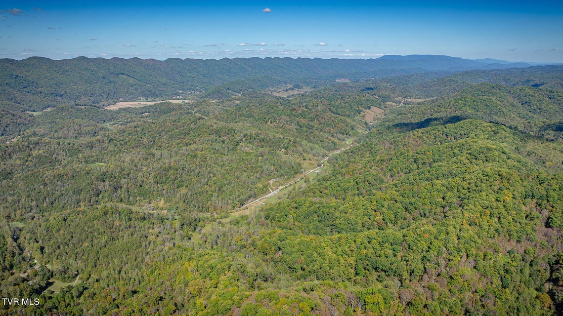 Photo #17: 413 Willow Branch Road