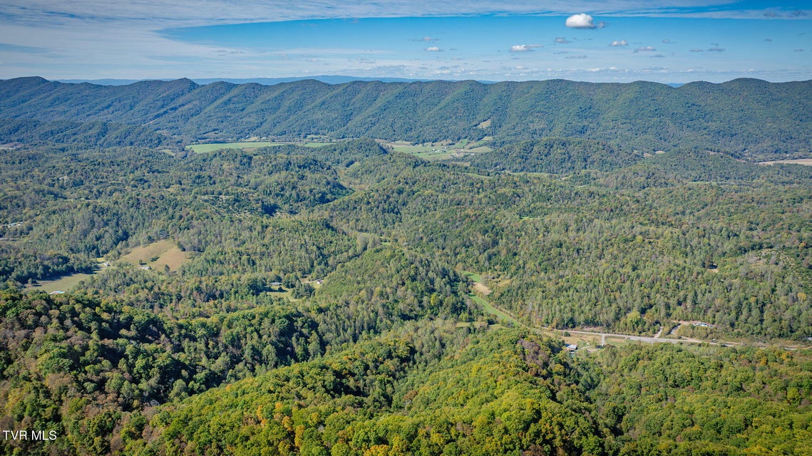 Photo #18: 413 Willow Branch Road