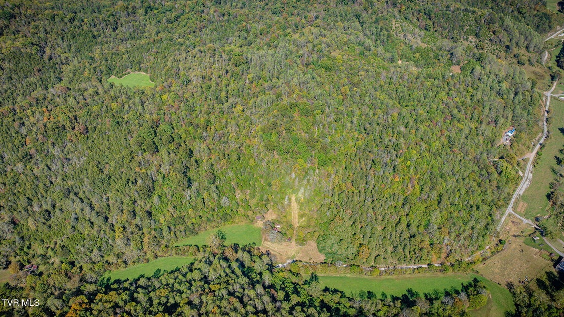 Photo #19: 413 Willow Branch Road