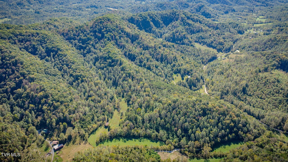 Photo #20: 413 Willow Branch Road