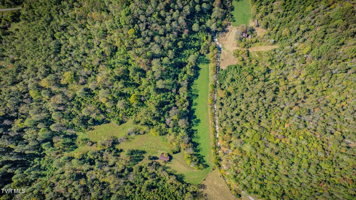 Photo #21: 413 Willow Branch Road