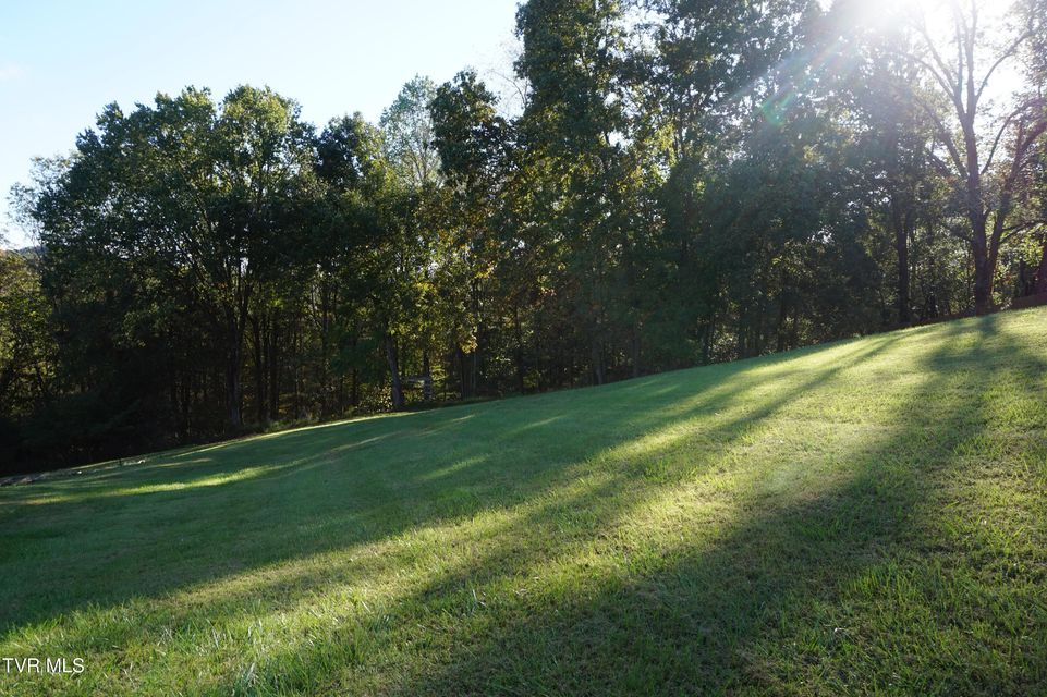 Photo #2: 256 Park Ridge Court